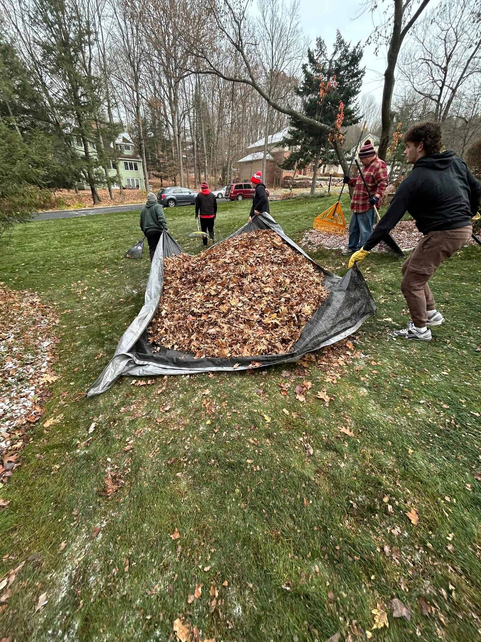 Fall Cleanup image