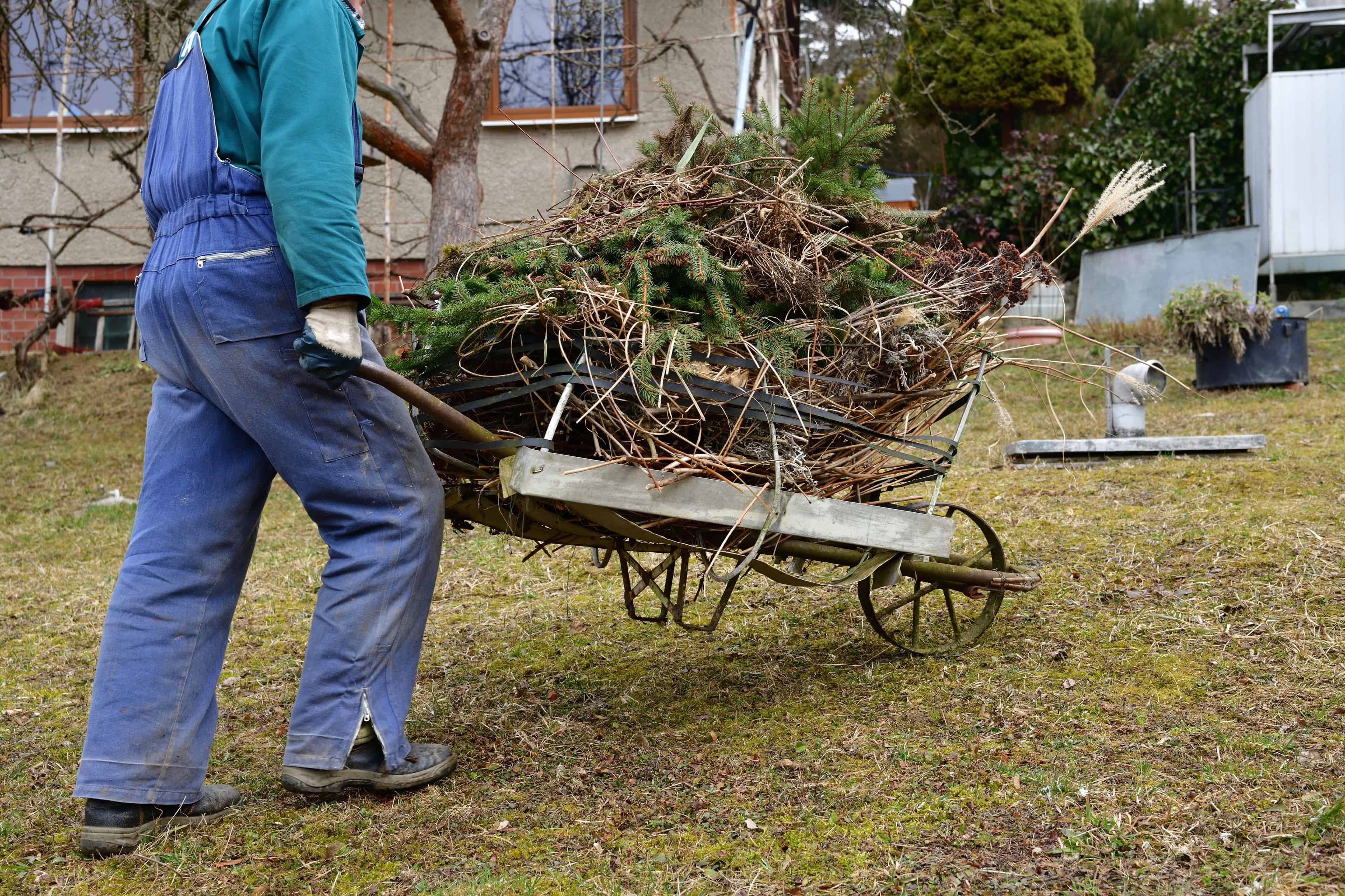 Spring Cleanup image