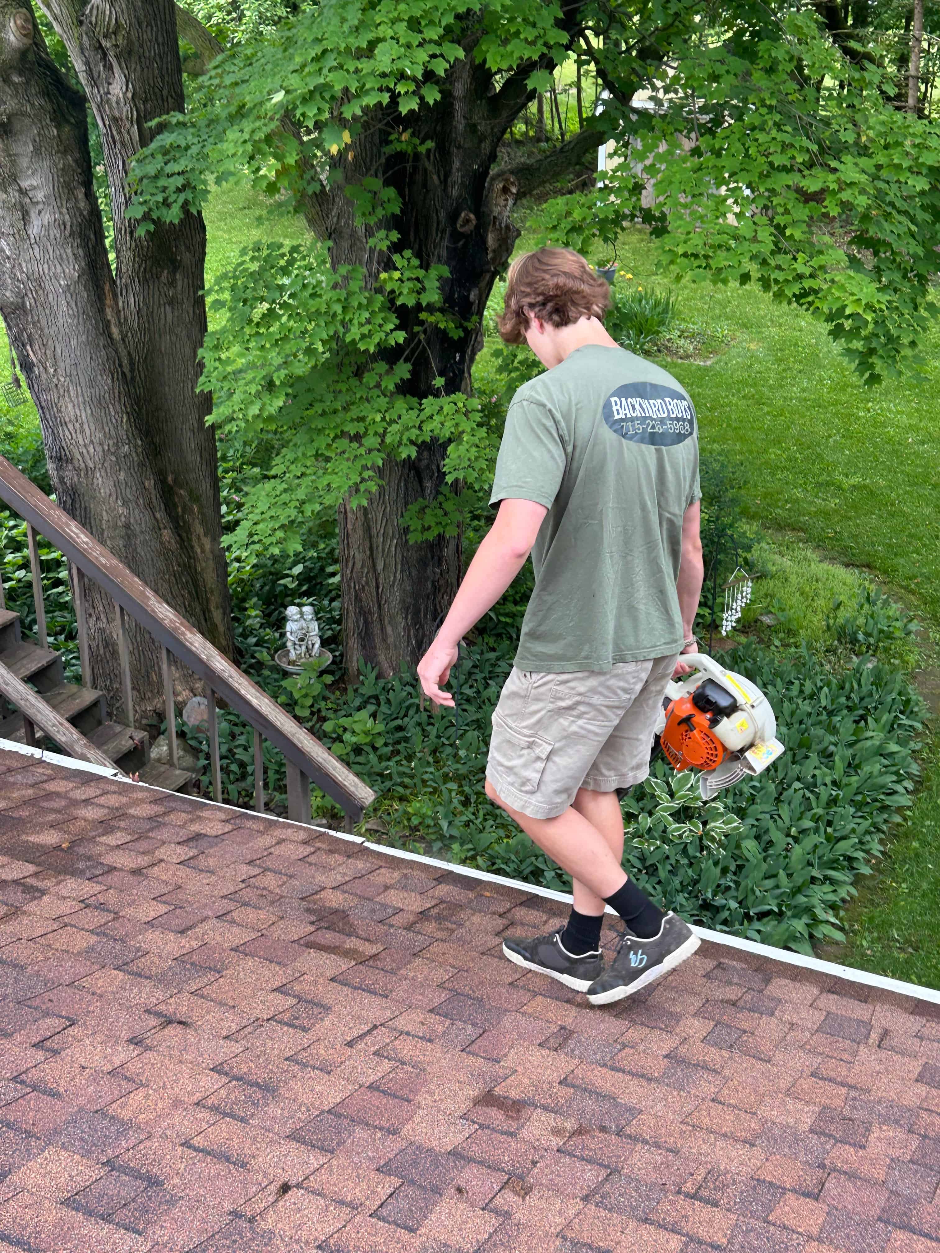 Gutter Cleaning image