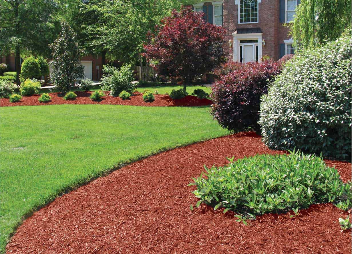 Mulch Installation image