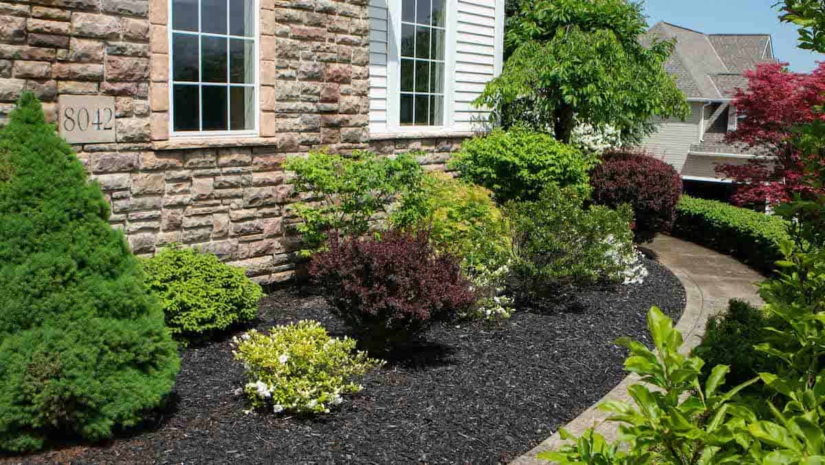 Shrub & Hedge Trimming image