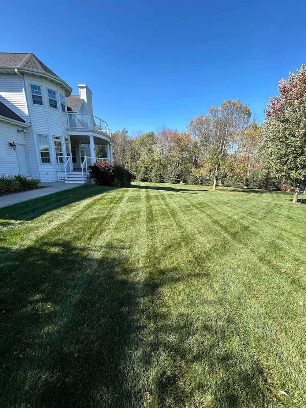 Lawn Mowing image