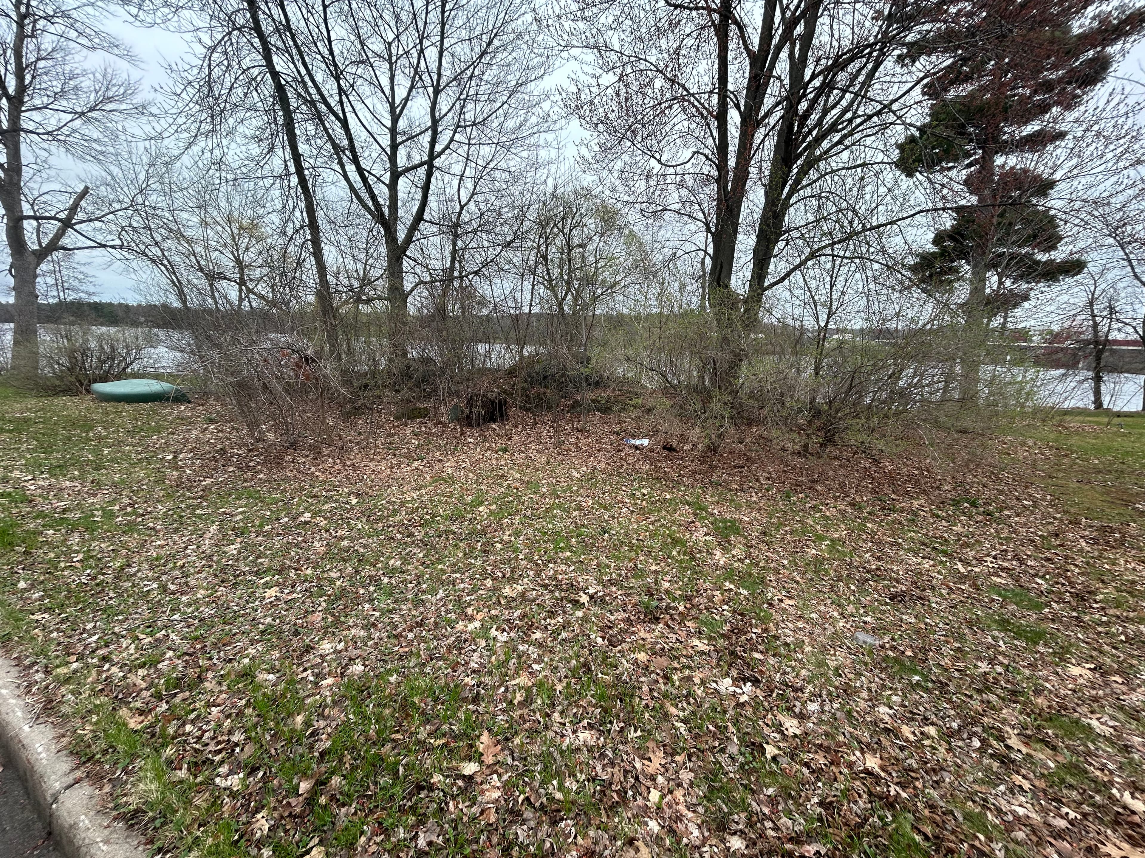 Project Buckthorn Bush Removal at a Lakeside Property image