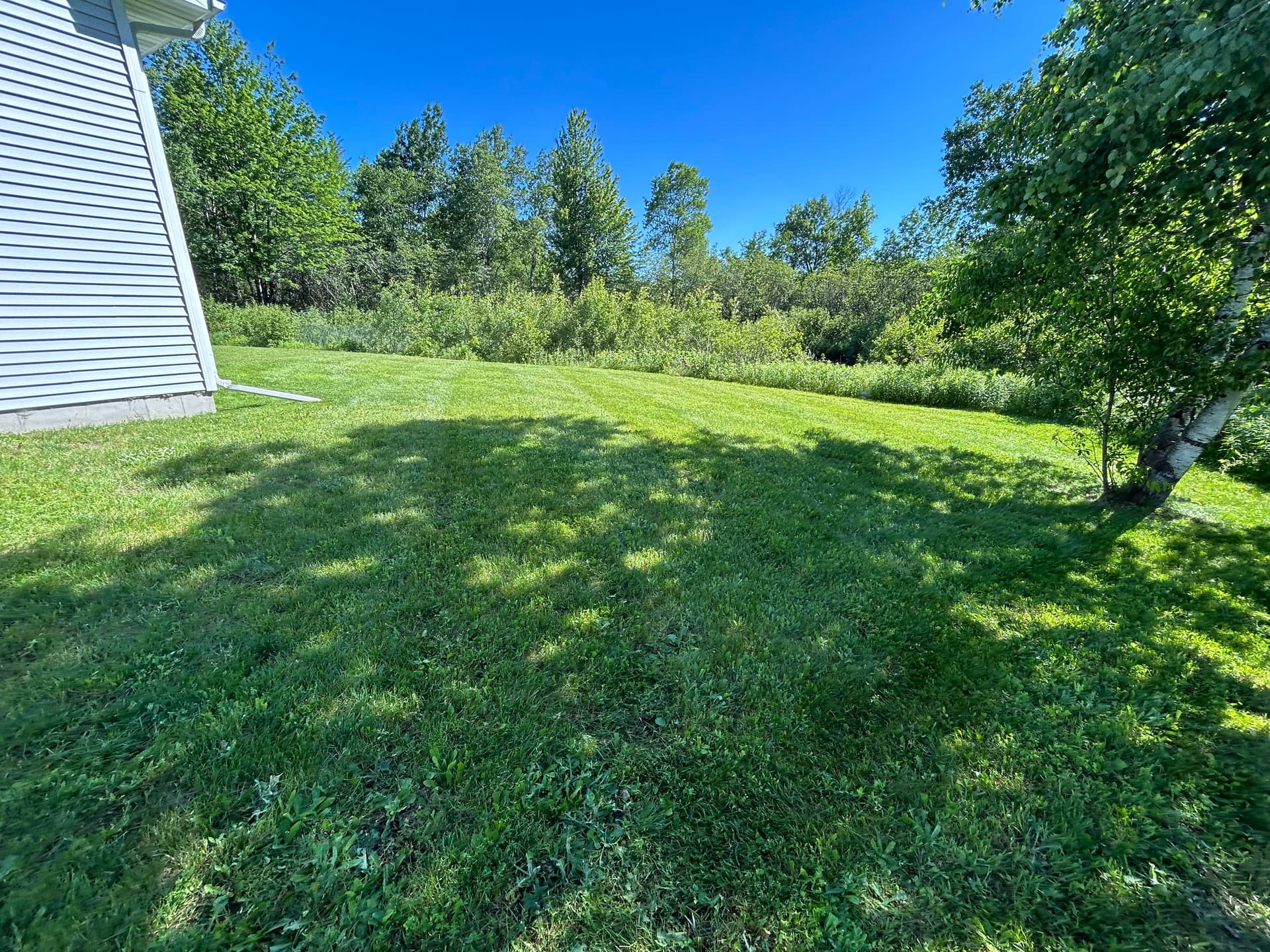 Gallery photos for Overgrown Lawn Gets a Clean Reset: Image #3