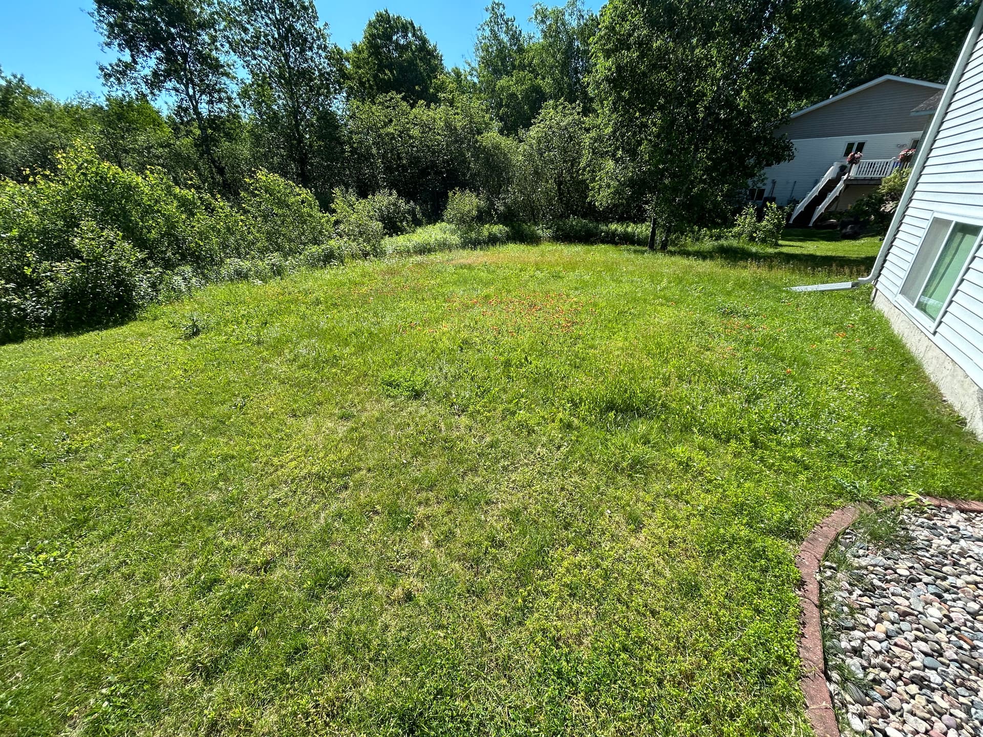 Gallery photos for Overgrown Lawn Gets a Clean Reset: Image #2