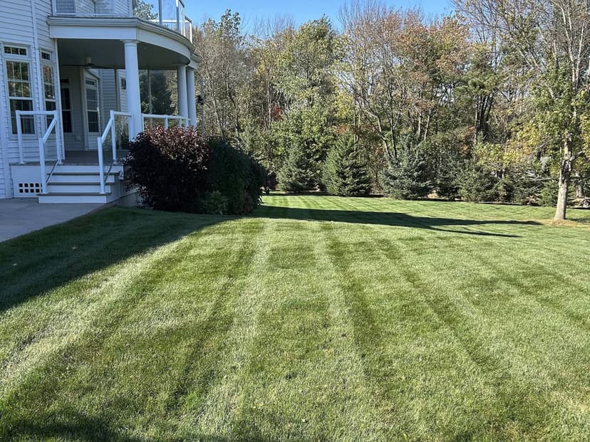 Lush green lawn with striped patterns, bordered by landscaped trees and a modern home.