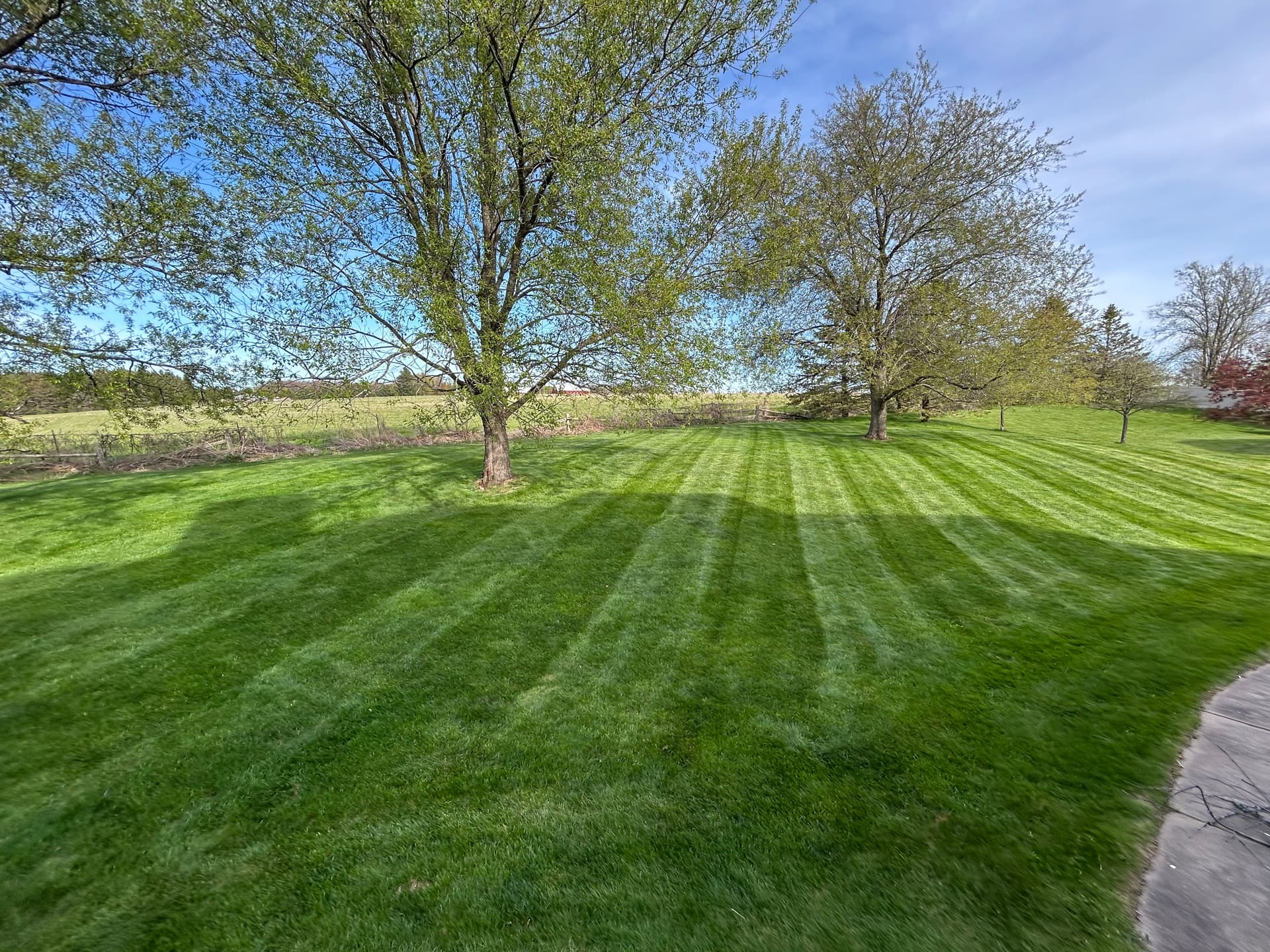 Gallery photos for Weekly Lawn Mowing That Keeps Your Yard Looking Sharp: Image #1