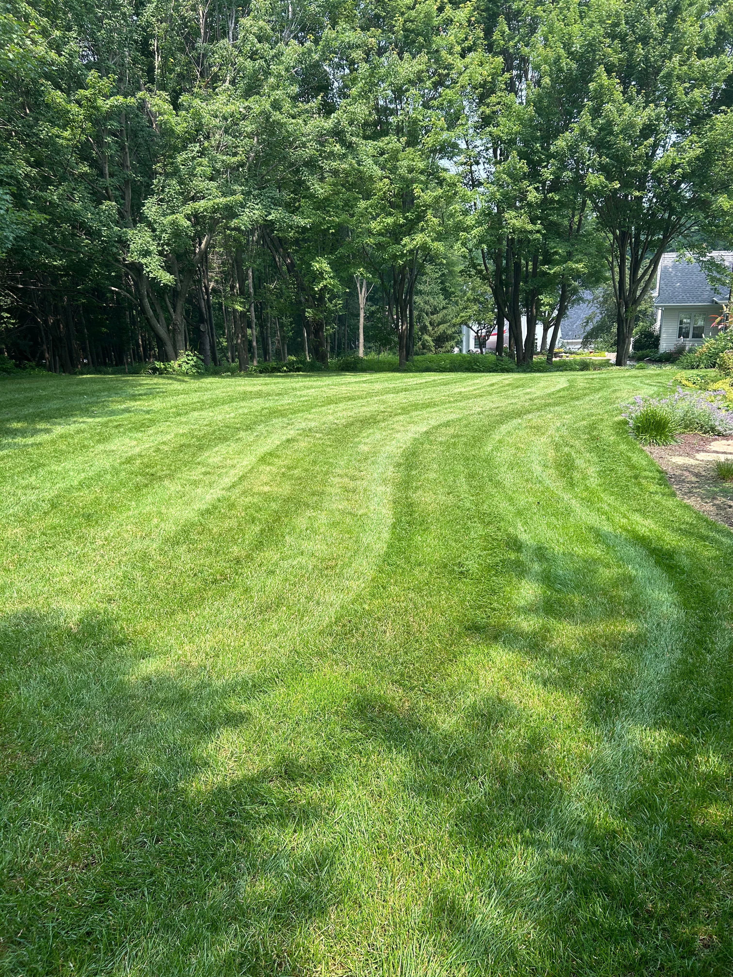 Project Mowing Stripes That Make a Lawn Turn Heads image