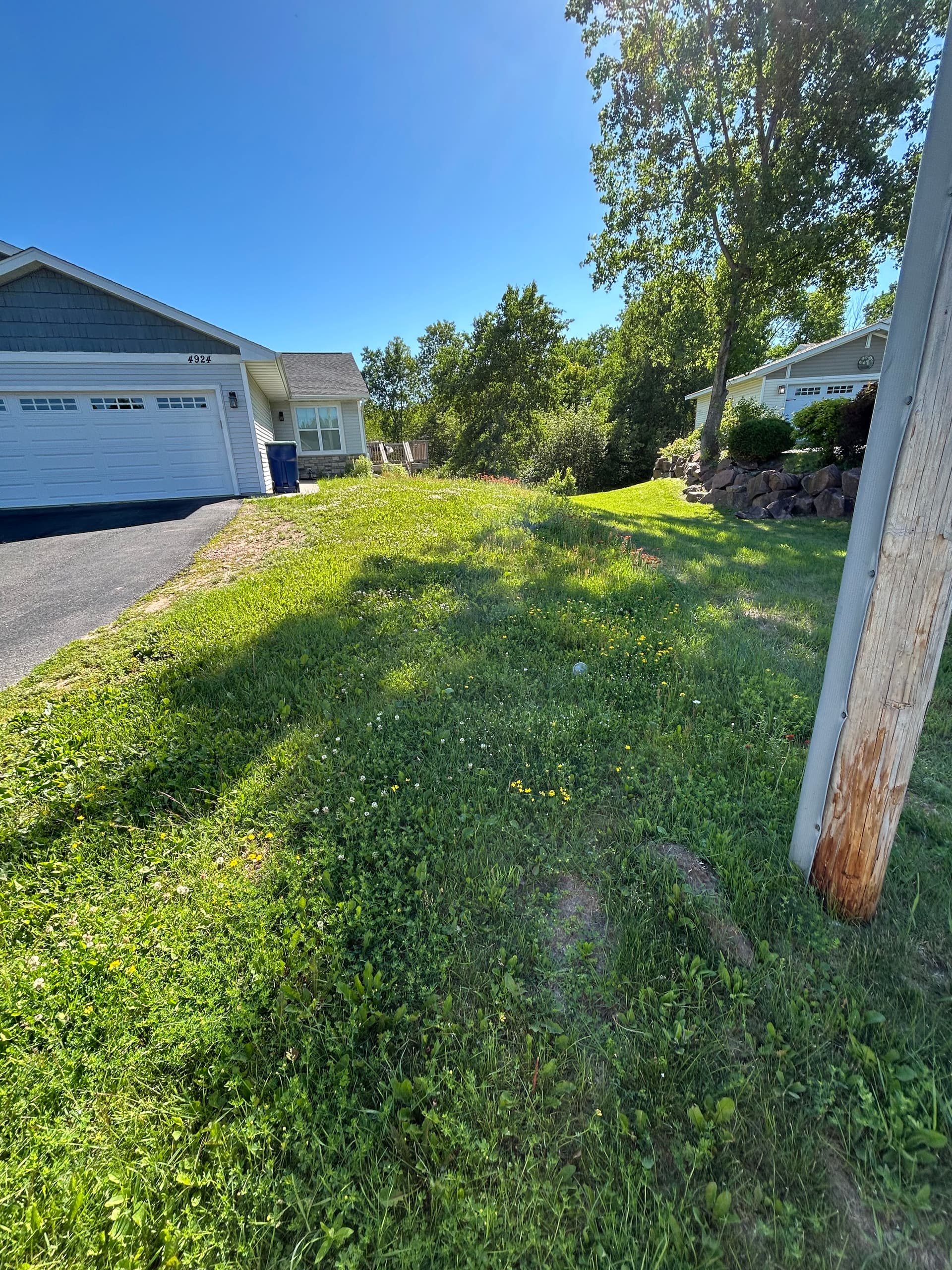 Overgrown Lawn Gets a Clean Reset image