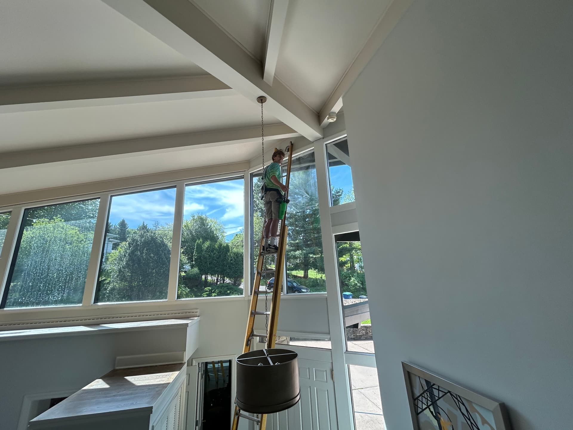 Tall Interior Windows Are No Match for Our Team image