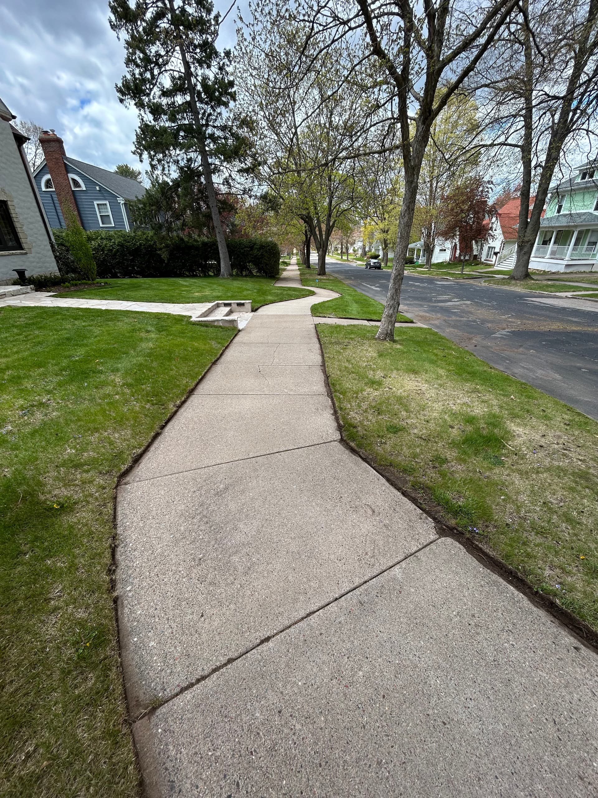 Clean Edges That Make Your Whole Lawn Look Sharp image
