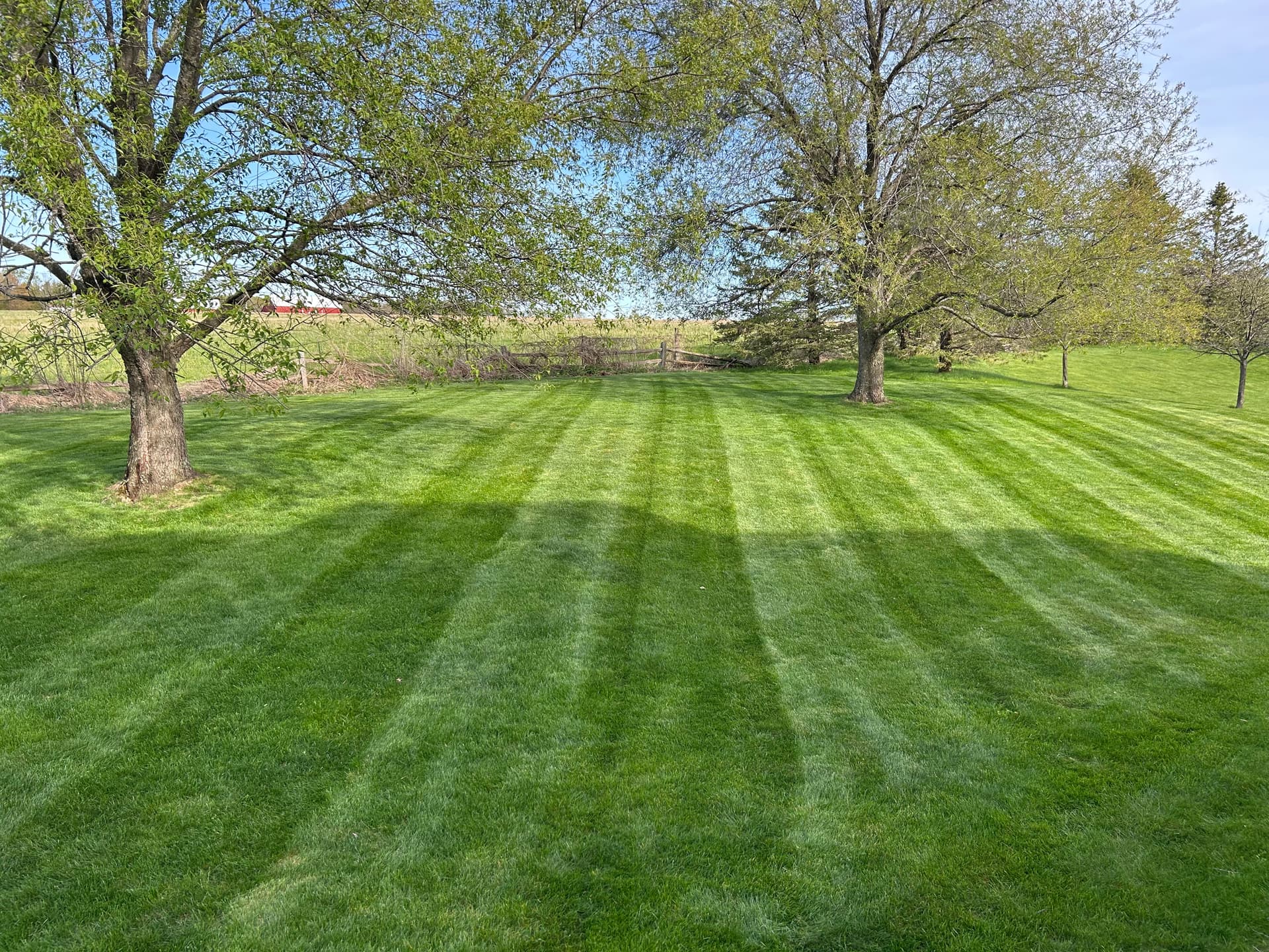 Weekly Lawn Mowing That Keeps Your Yard Looking Sharp image