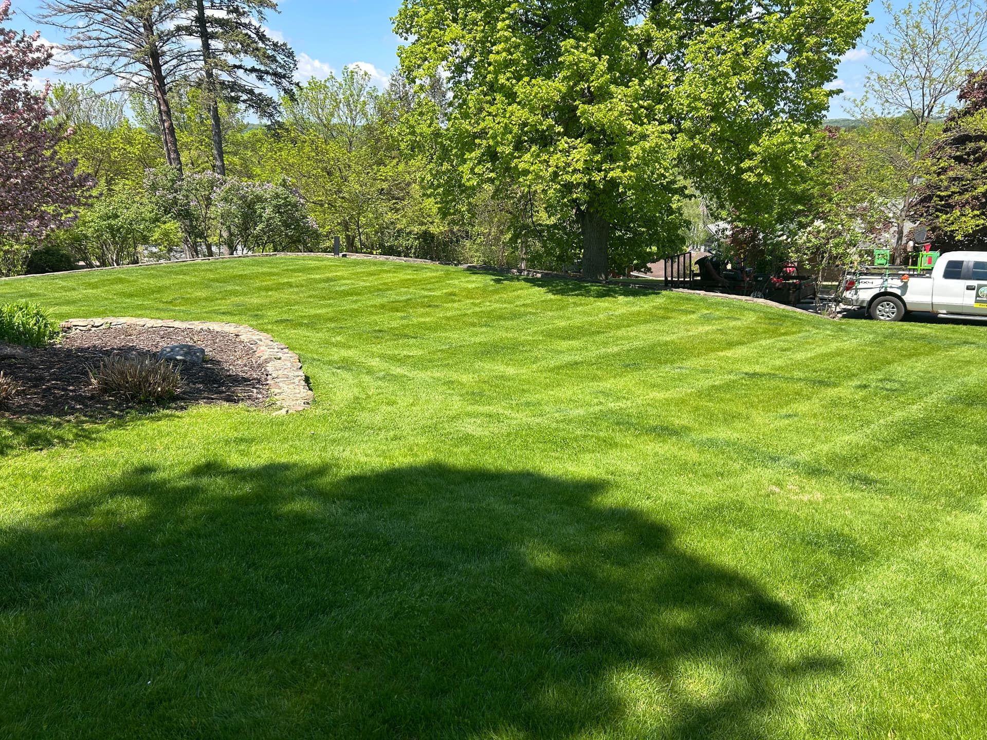 When the Grass Gets Ahead of You, We Step Up image