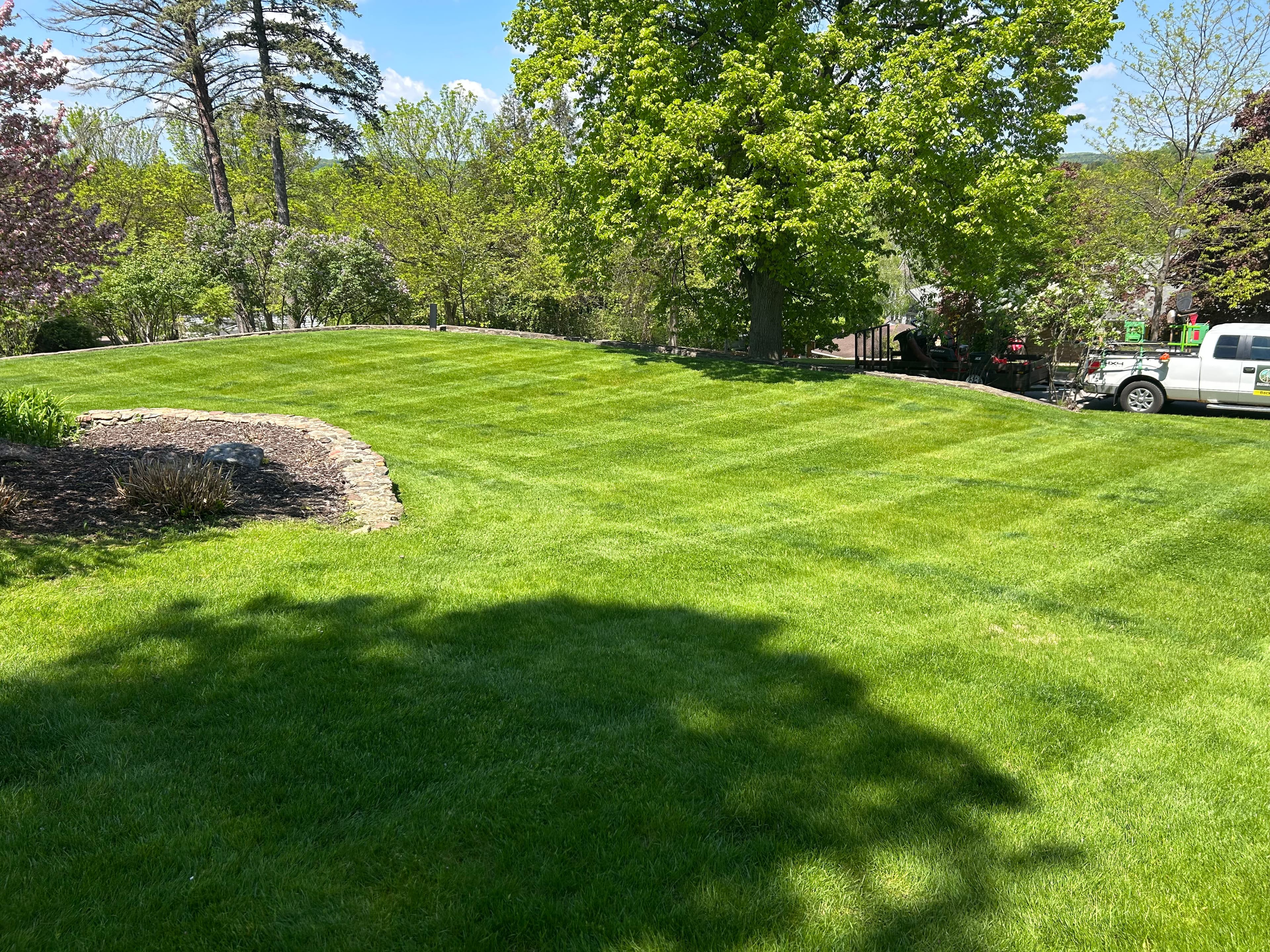 Project When the Grass Gets Ahead of You, We Step Up image