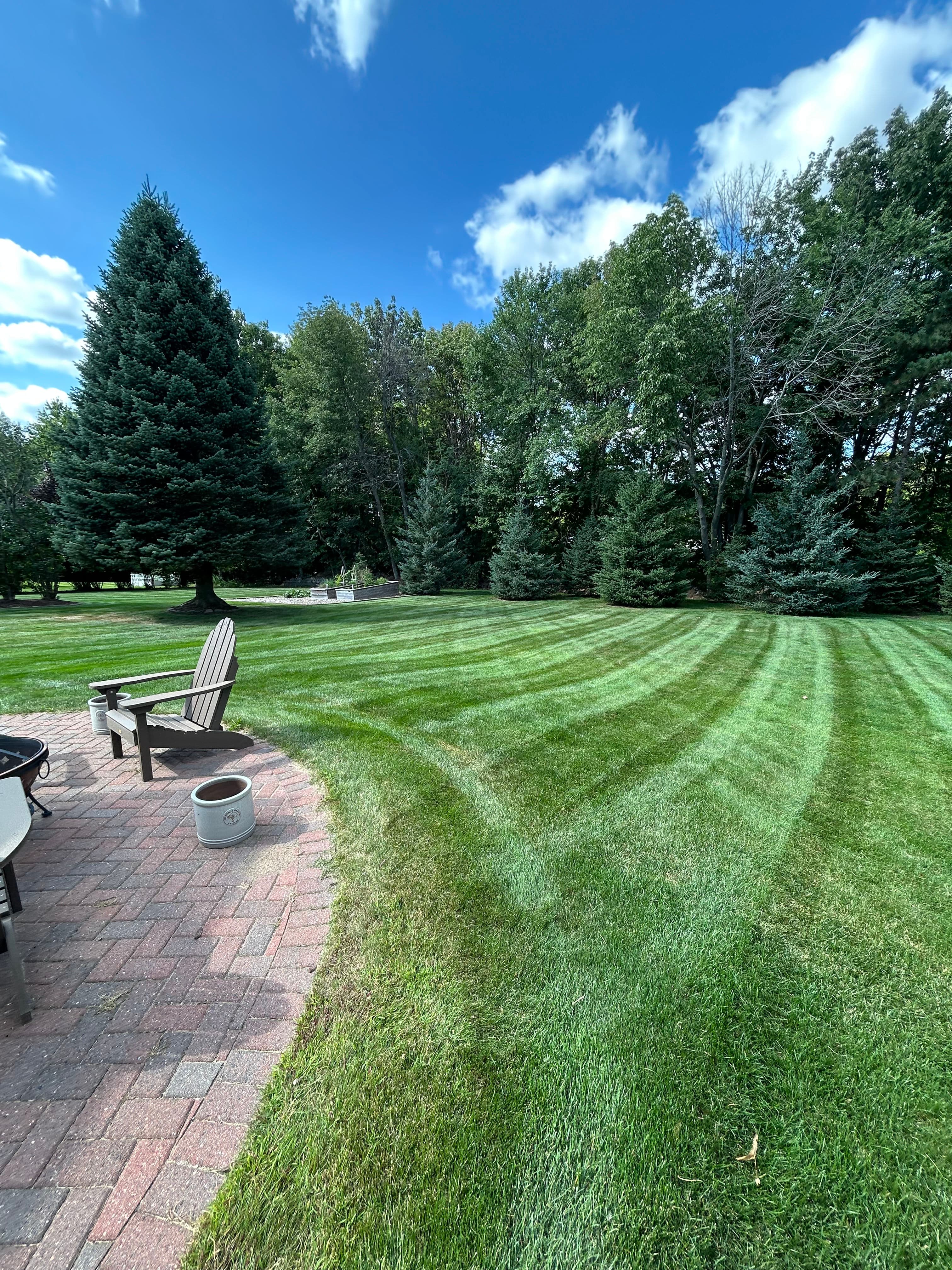 Project Lawn Stripes That Make Your Backyard Feel Like a Showpiece image