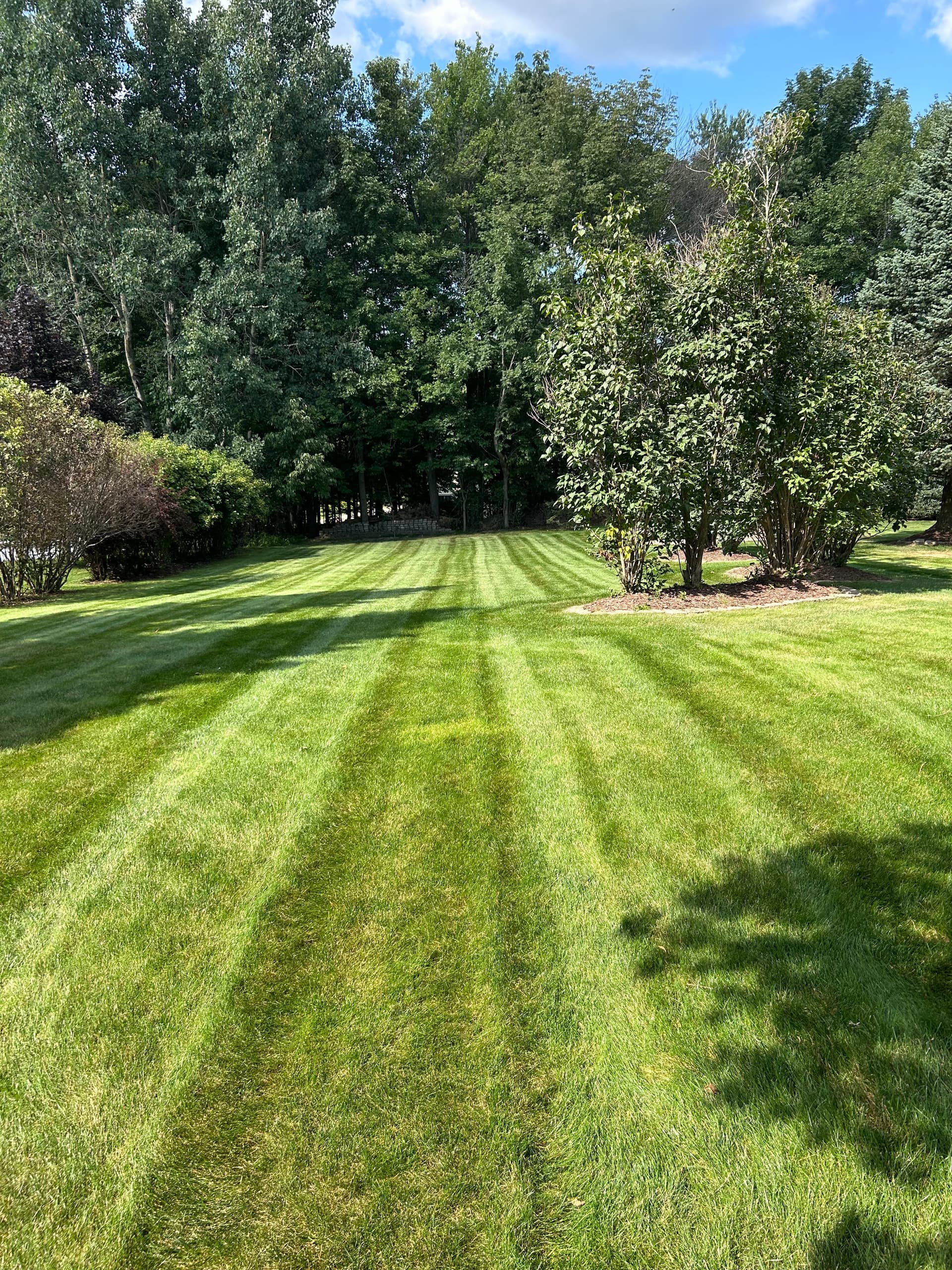 Lawn Stripes That Make Your Backyard Feel Like a Showpiece
