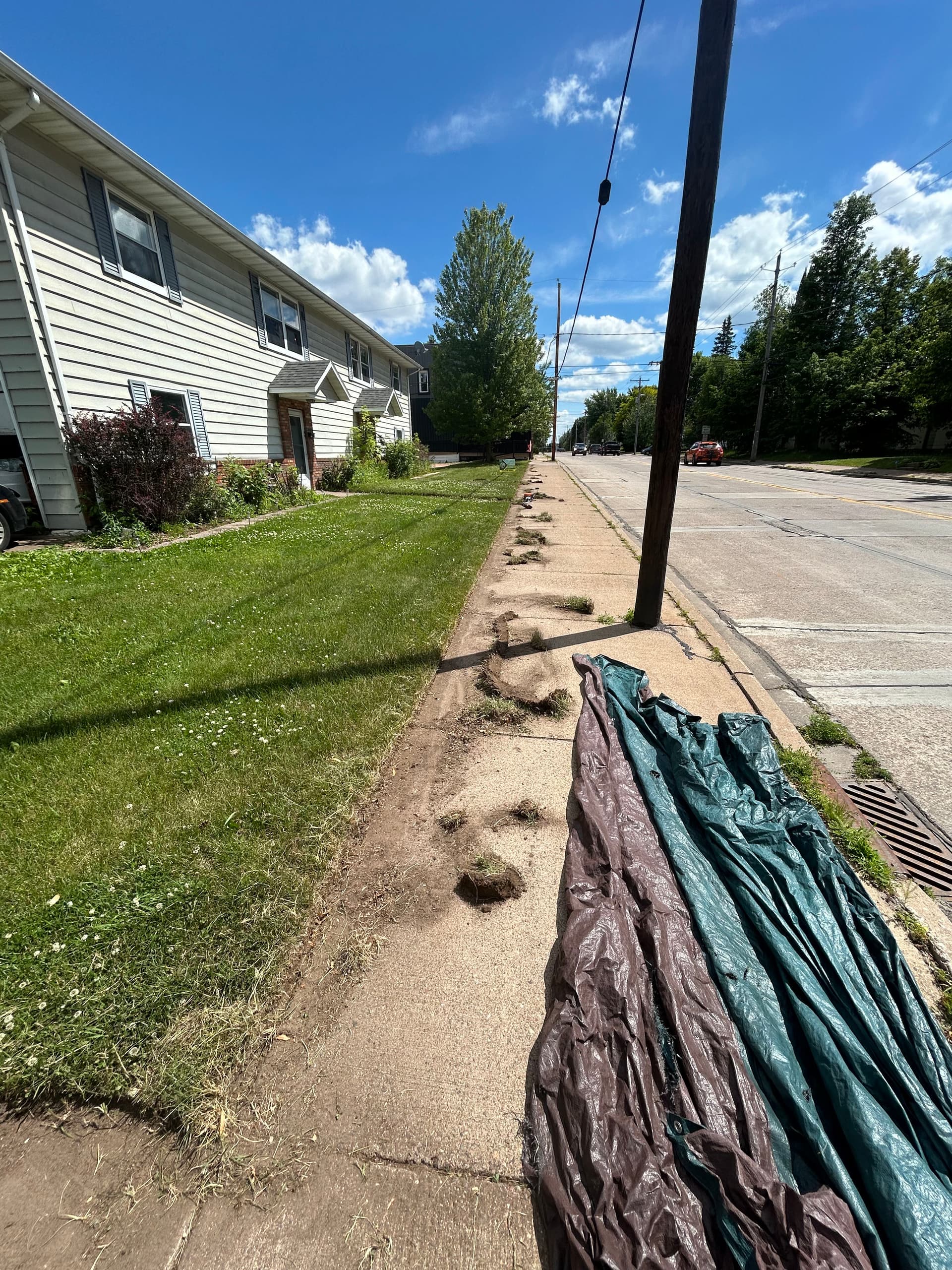 Sharp Lawn Edges Make Your Whole Yard Look Better image