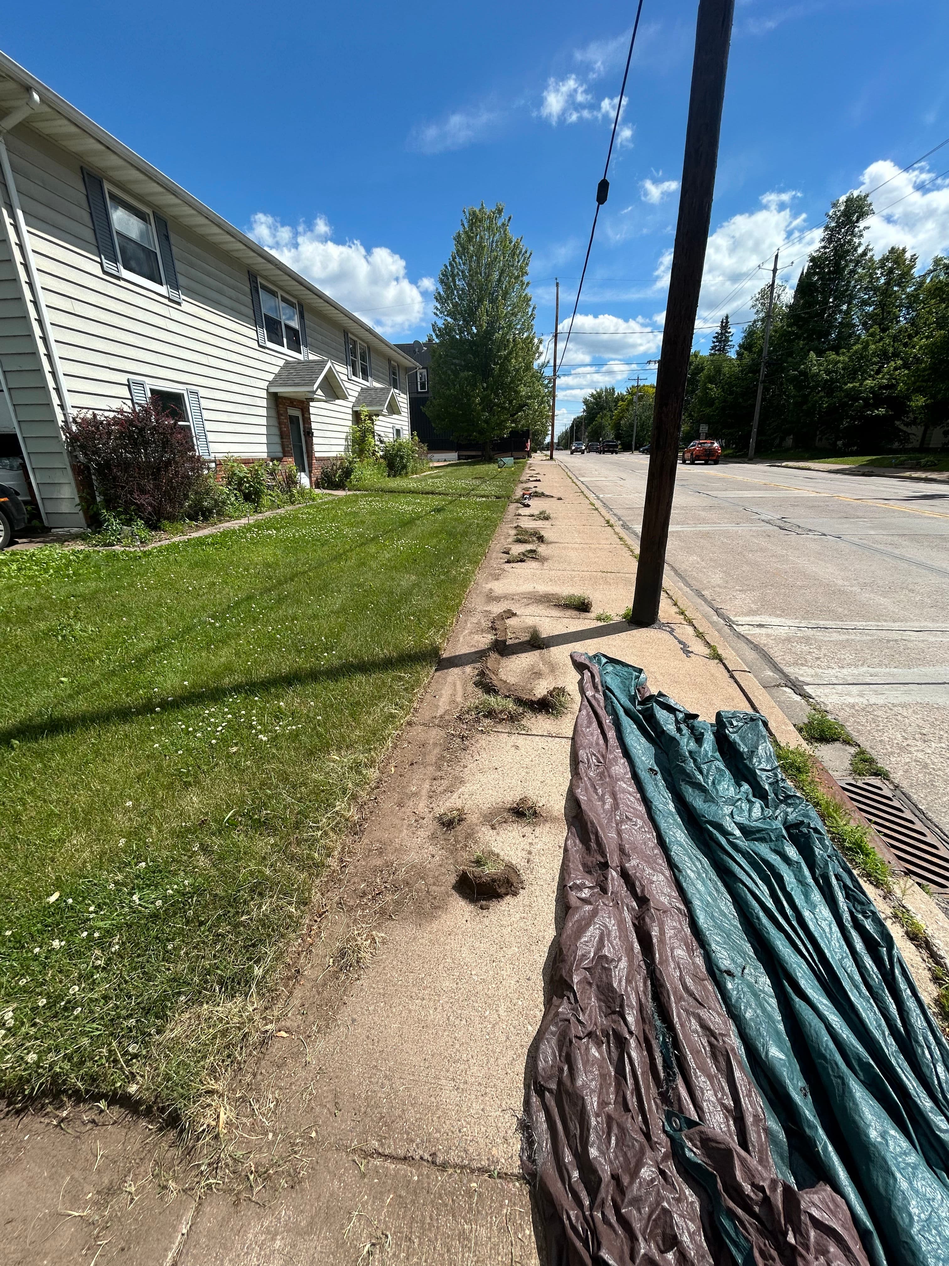 Project Sharp Lawn Edges Make Your Whole Yard Look Better image