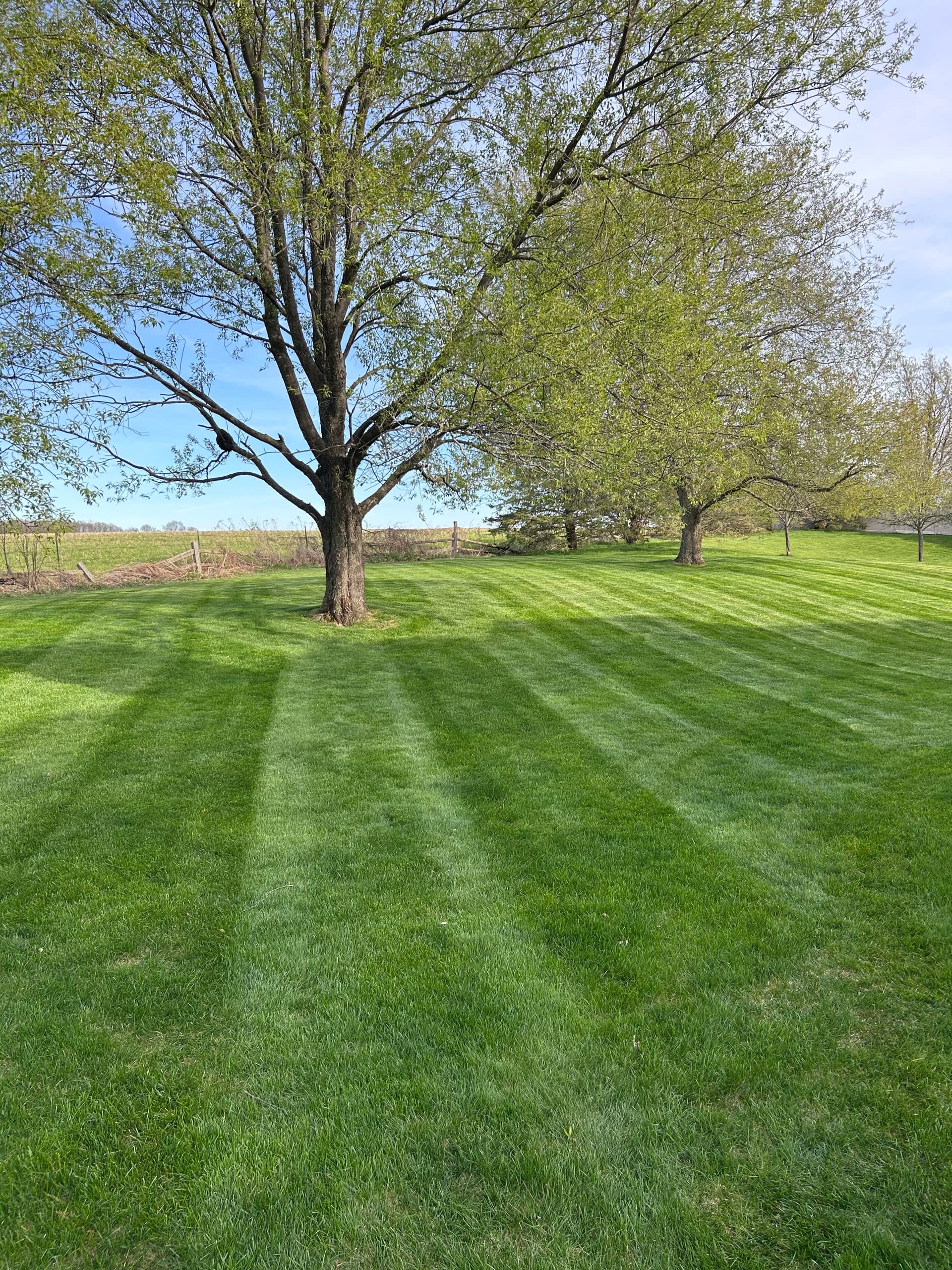 Gallery photos for Weekly Lawn Mowing That Actually Keeps Your Yard Looking Sharp: Image #2