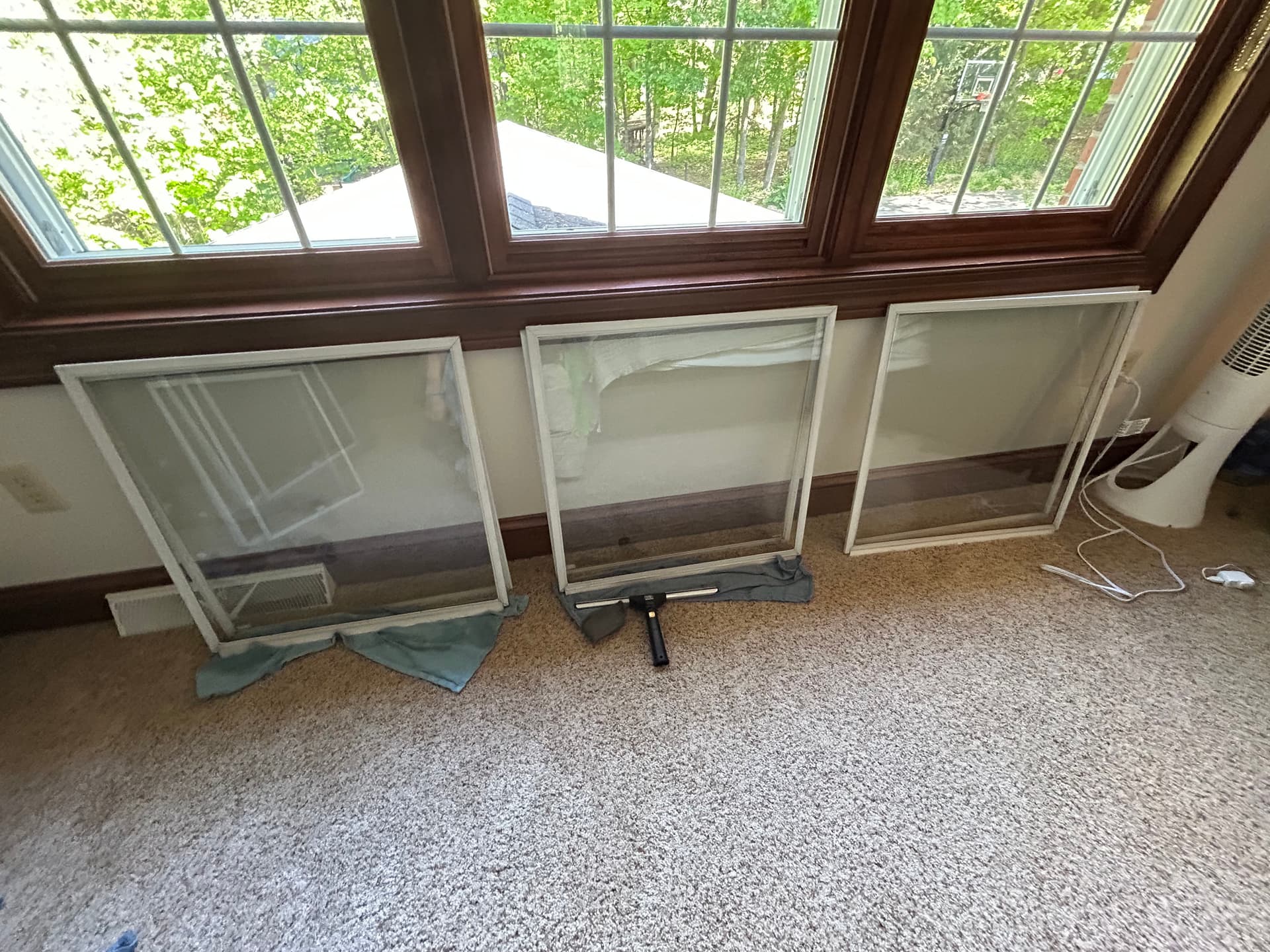 Storm Windows Cleaned Up Right image